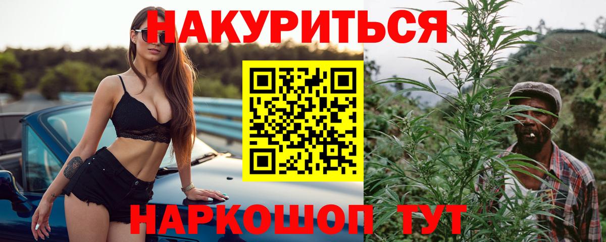 Канабис сатива Канаш